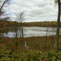 Looking across Lake Erin in fall