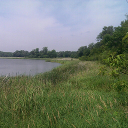 The stunning wetlands of Maria Lake.