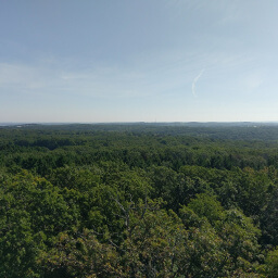 The view from the top of the observation tower on Lapham Peak