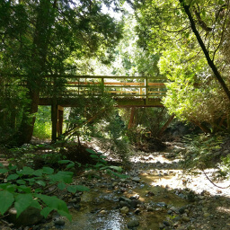 The bridge over the creek at the bottom of Lion's Den Gorge