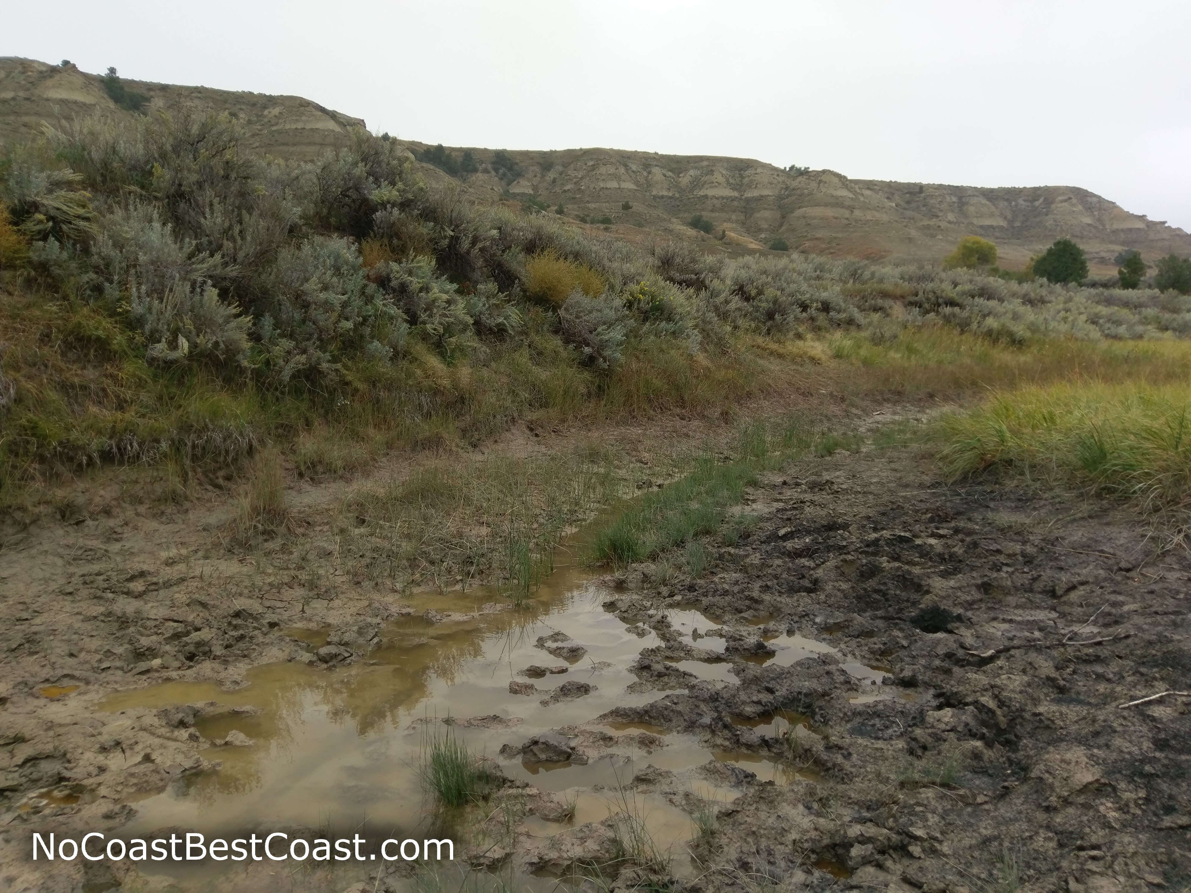 Brackish water and mud is prevalent in the earlier half of the loop