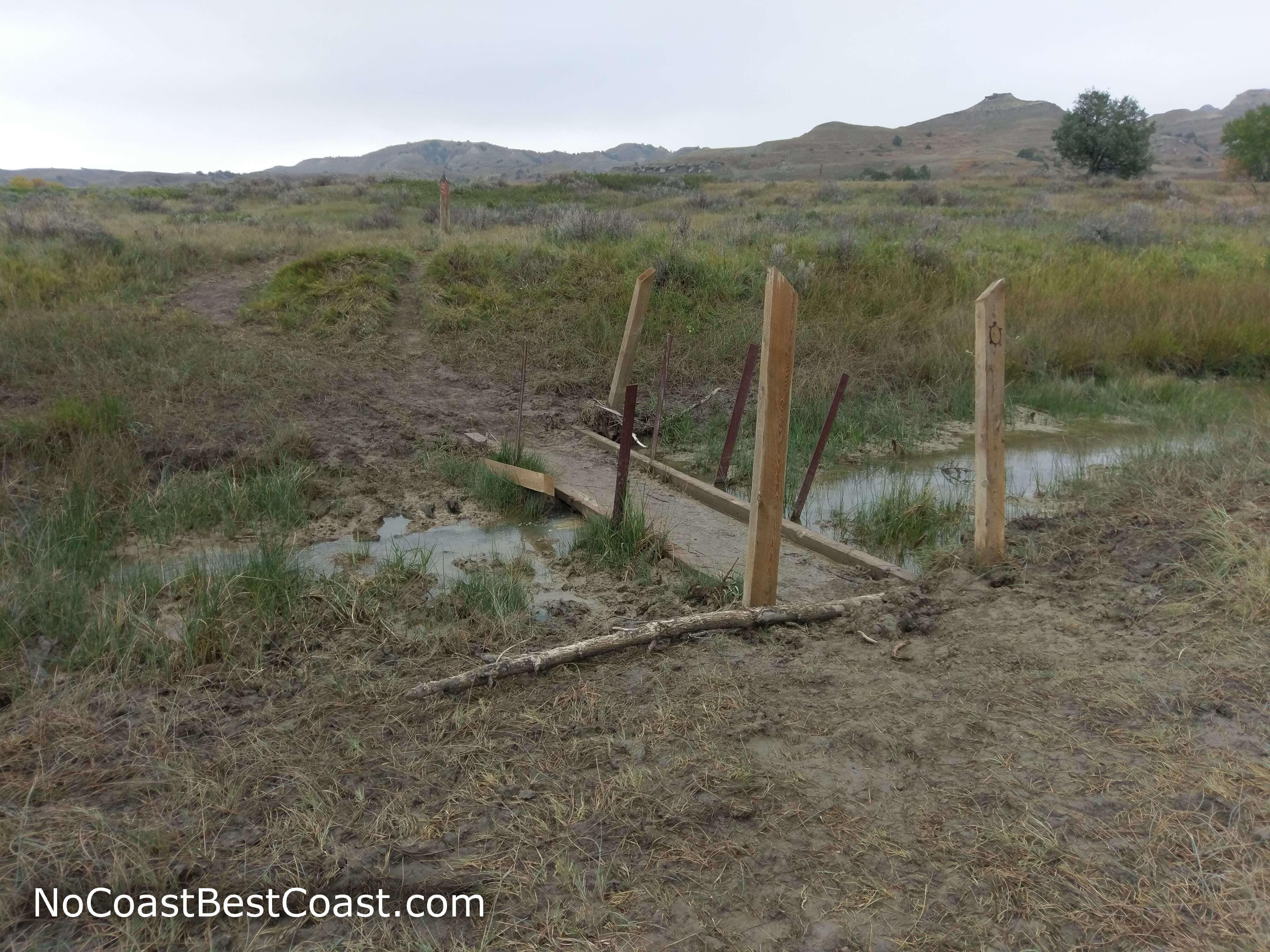 Short wooden bridges help you cross frequent creeks