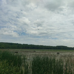 Despite being adjacent to Minneapolis-St. Paul International Airport, Minnesota Valley National Wildlife Refuge is a beautiful bird sanctuary