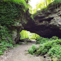 The trail as it meanders under the 50-foot high Natural Bridge