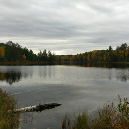 The natural beauty of Pickerel Lake is amazing even on a cloudy day