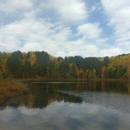 Blue skies and fall colors from the dock on Pickerel Lake