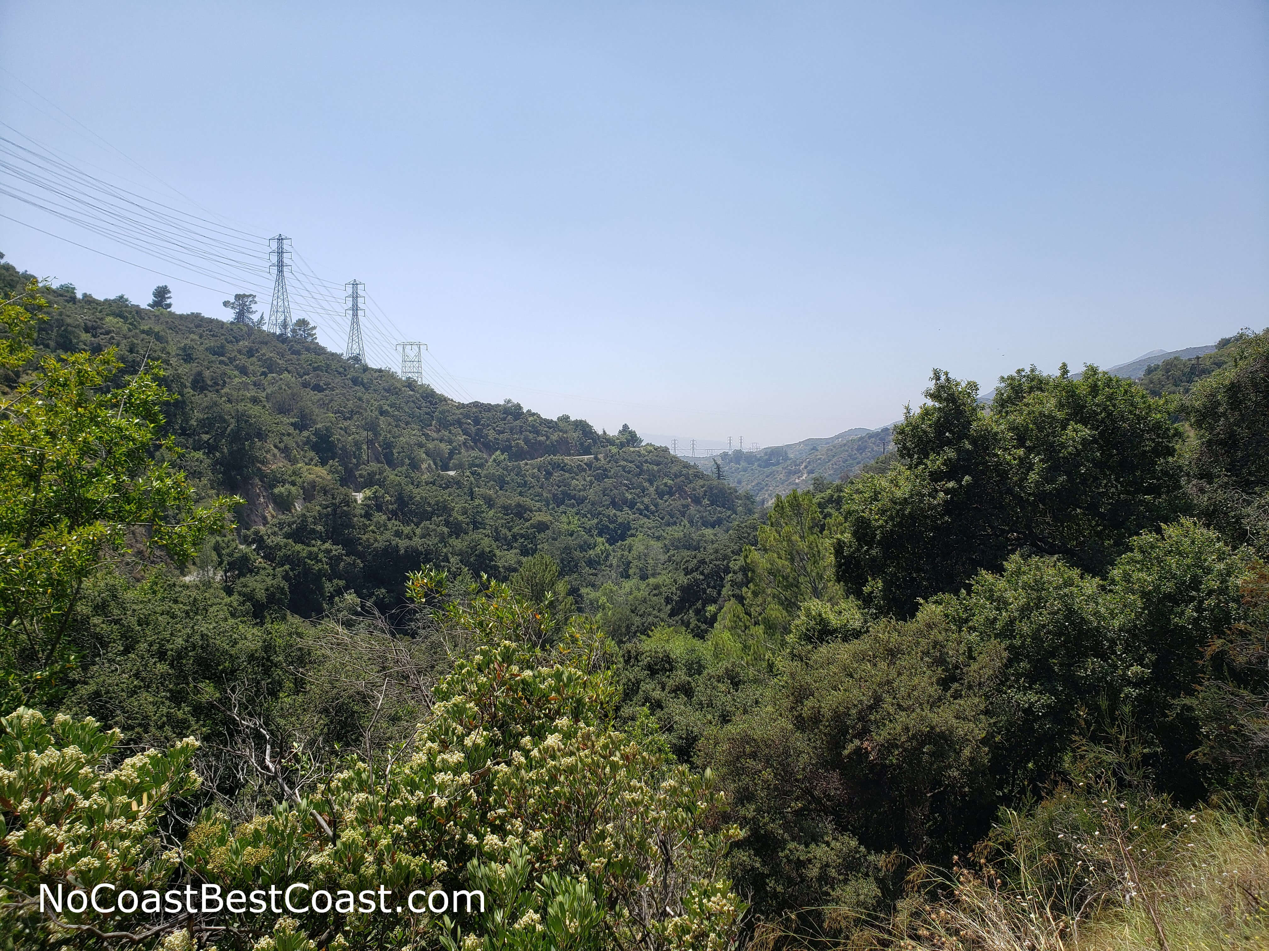 Power lines and the lush foliage of Millard Canyon