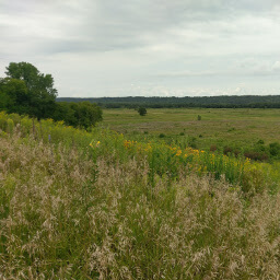 Overlooking the bison enclosure from near Seppmann Mill