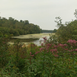 Looking across Mirror Lake