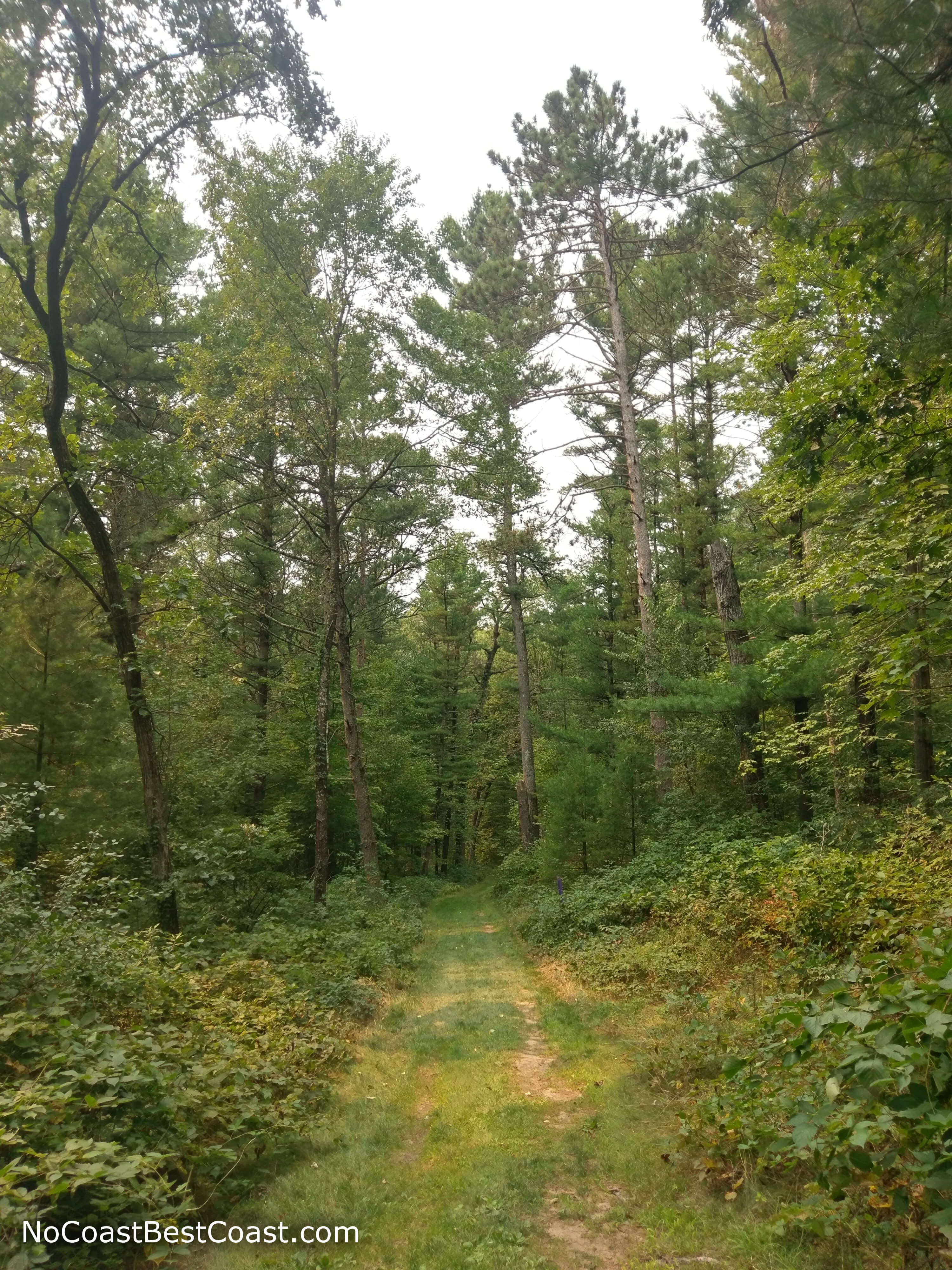 Hike Northwest Trail Loop at Mirror Lake State Park