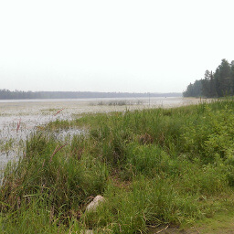 Looking out on Lake Itasca from the Headwaters of the Mississippi River