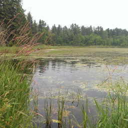 Lake Itasca in a smokey haze from Canadian wildfires