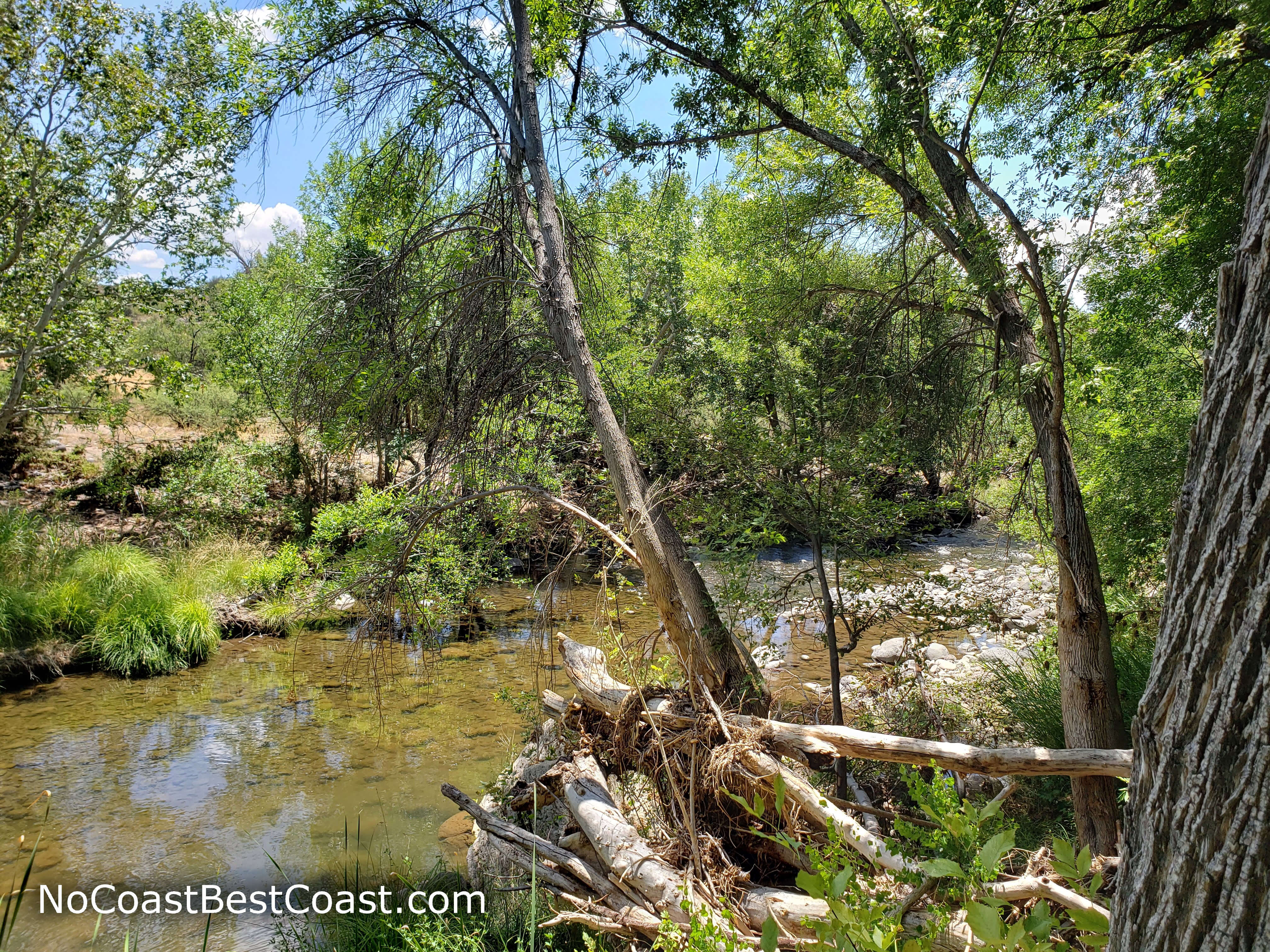 The lush banks of Wet Beaver Creek