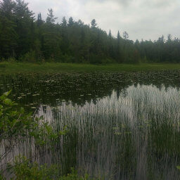 The small lake beneath the observation platform is quite pretty