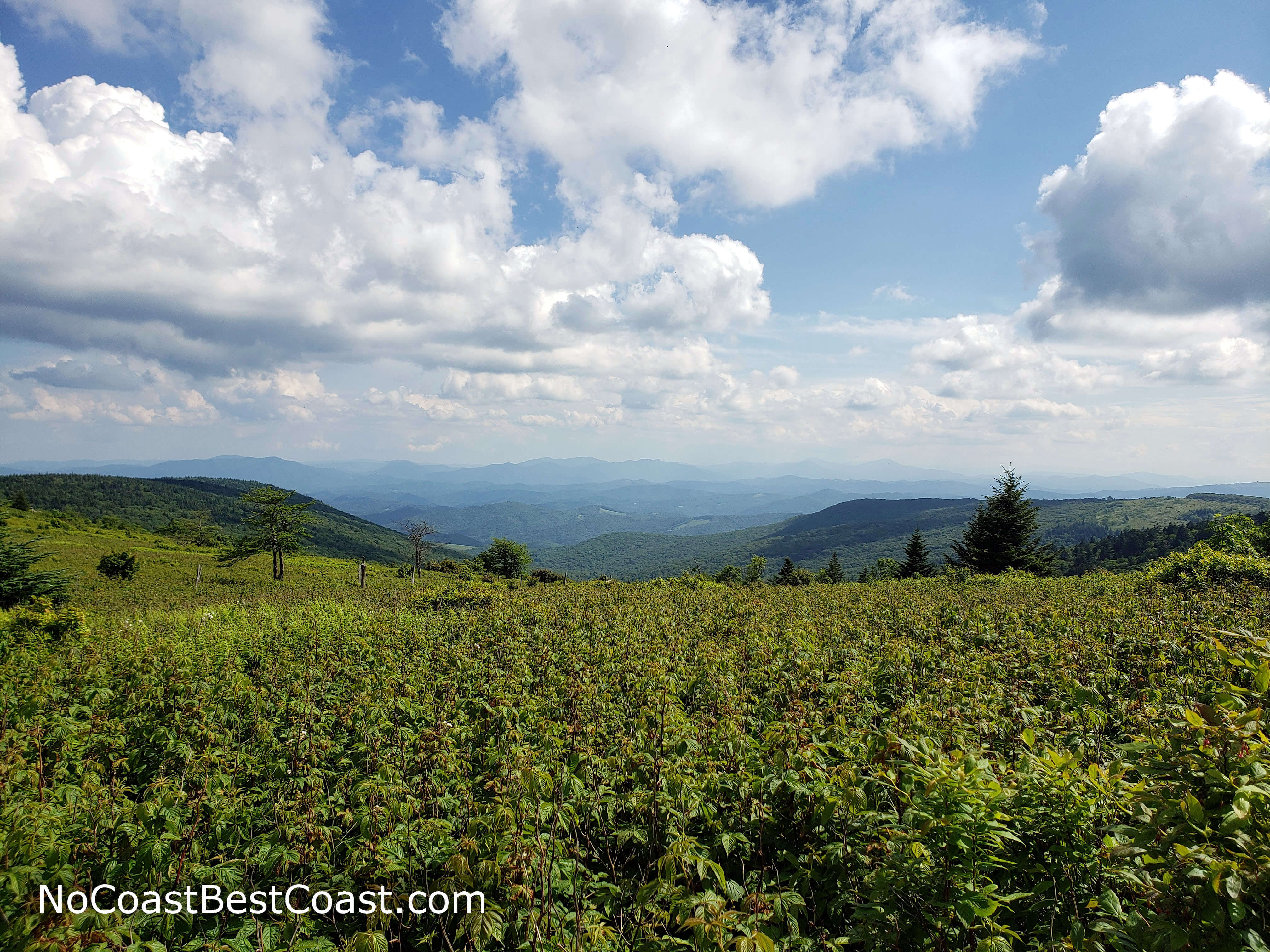 Incredible views along the Appalachian Trail looking toward the high peaks in North Carolina