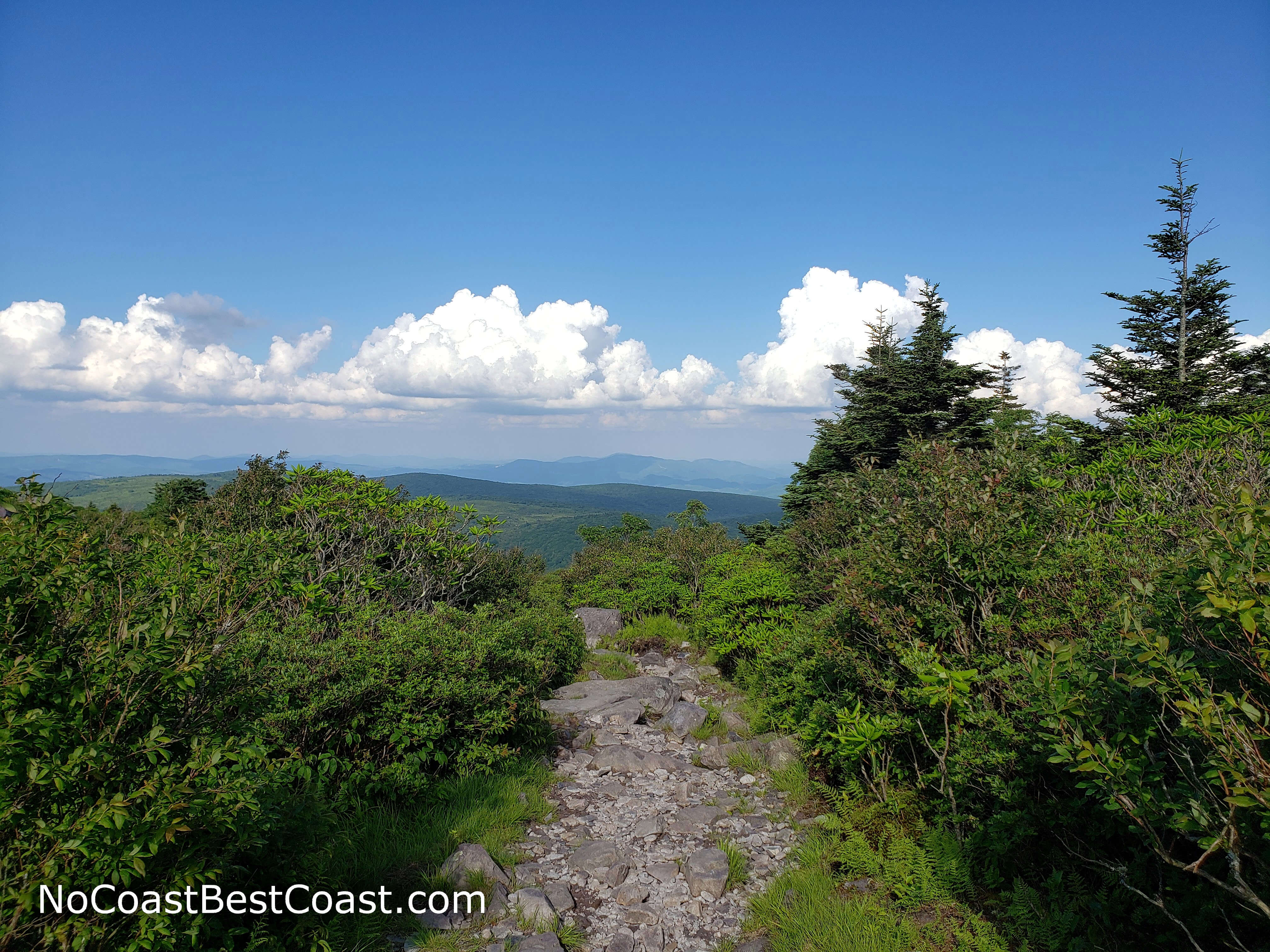 This section of the Appalachian Trail makes you feel like you're on top of the world