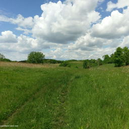 The prairie in the forest in Sibley State Park