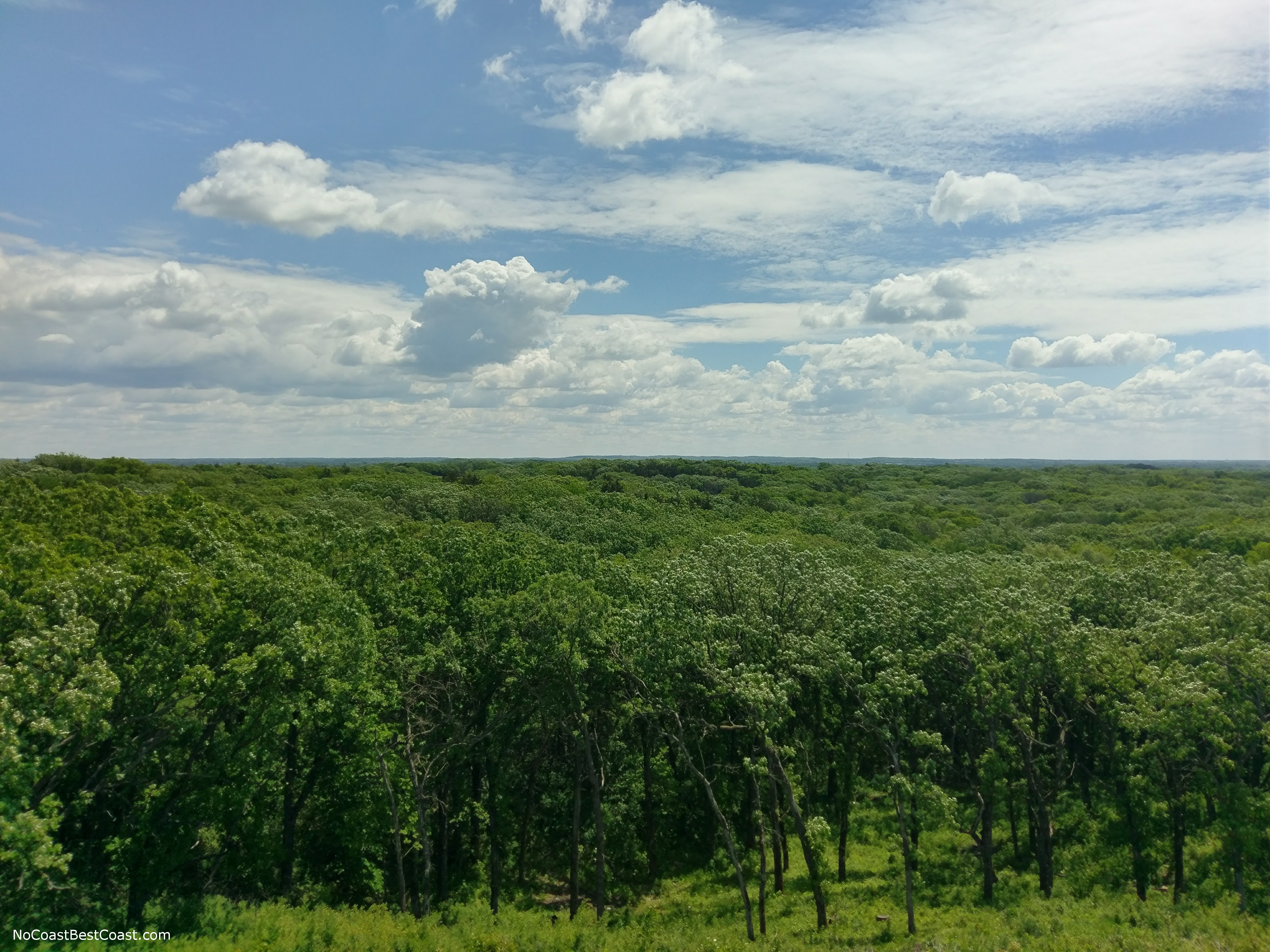 One view from atop the Mount Tom observation tower.