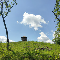 The observation tower on top of Mount Tom.