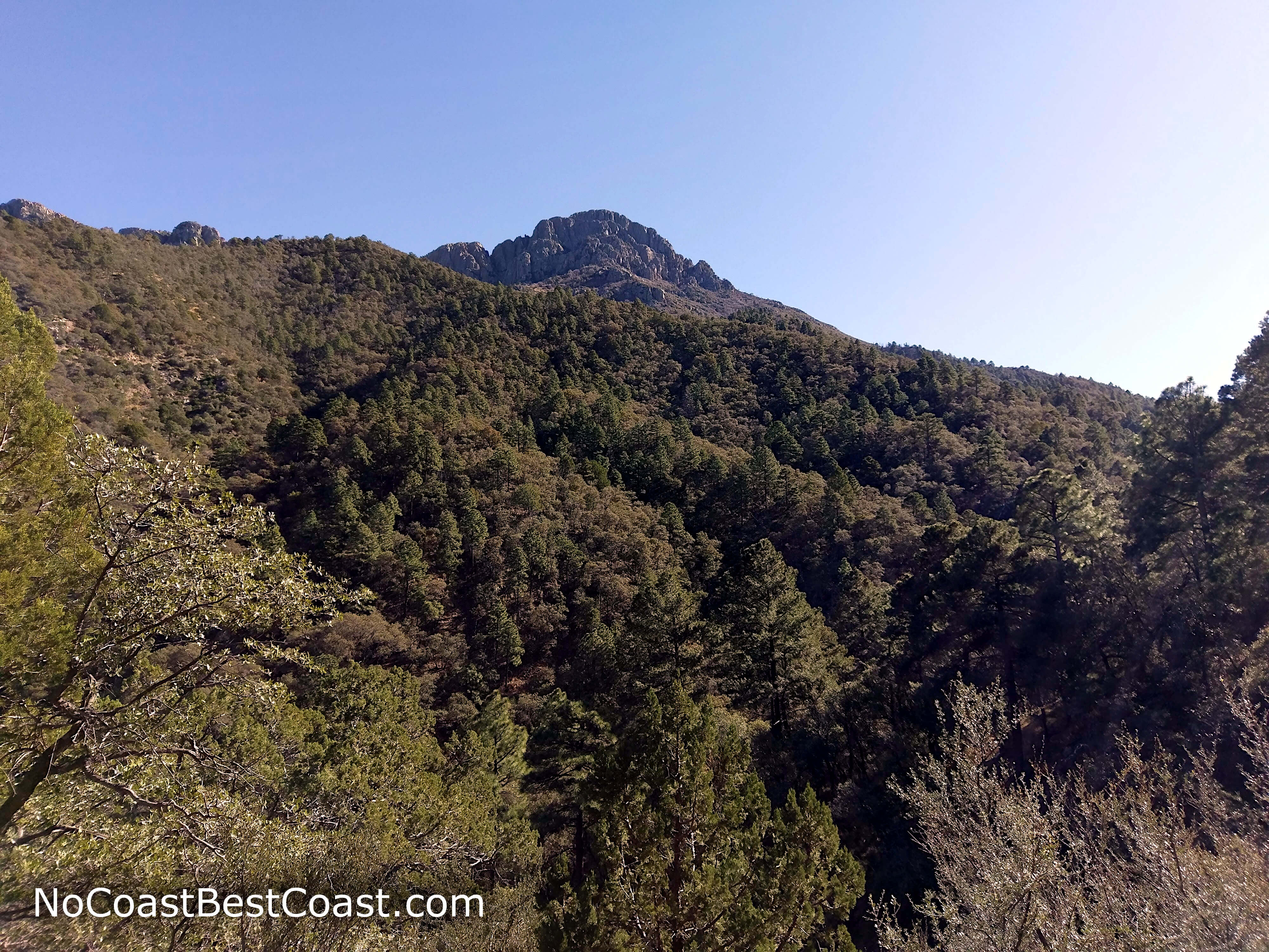 Rocky Mount Wrightson looms above the treeline