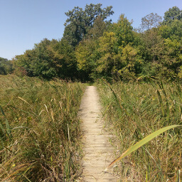 This short boardwalk is a nice diversion from the hilly trail