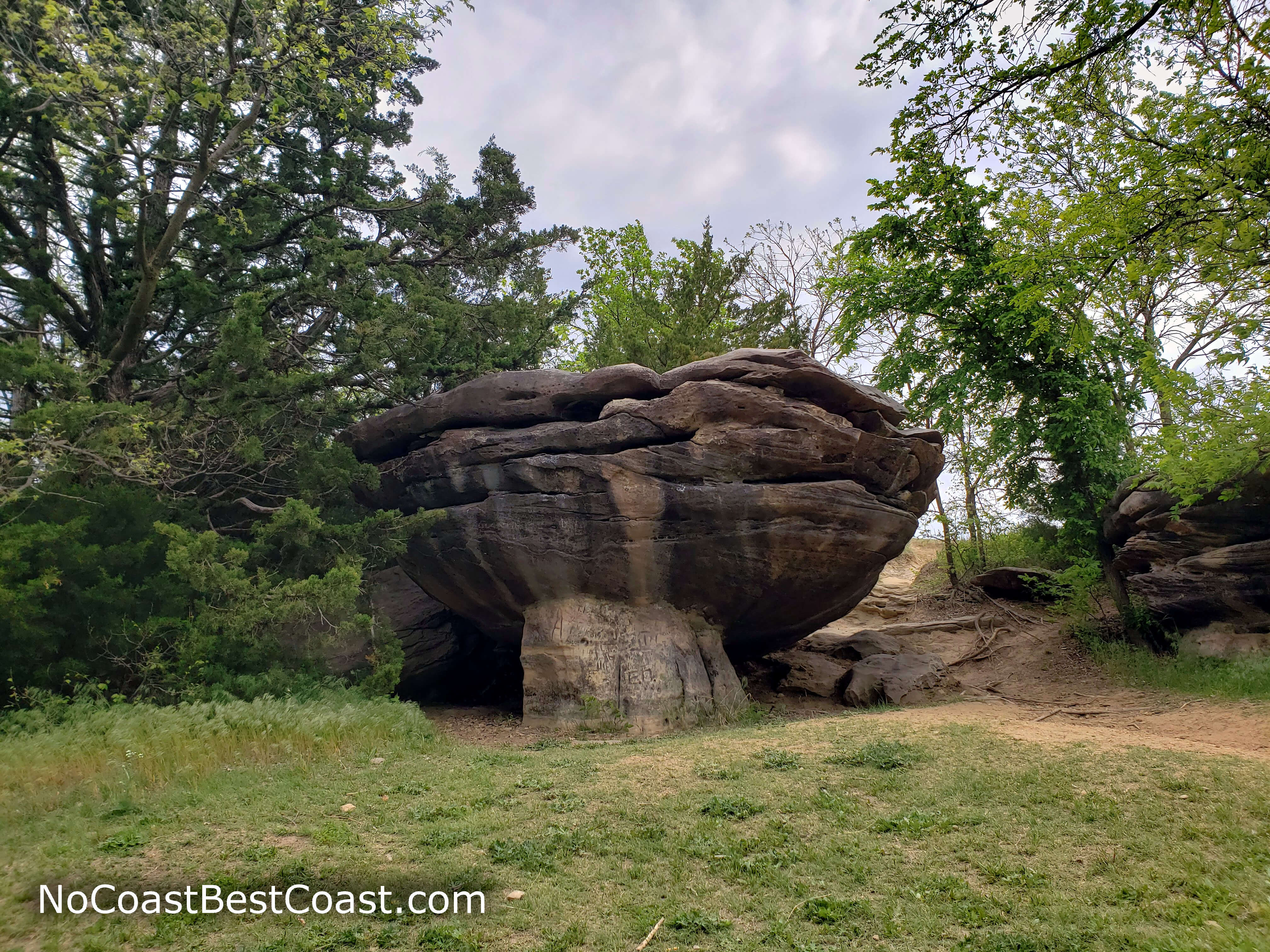 This rock reminds me of a clam