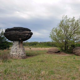 The most mushroomy of all the rocks is on the southern end of the park