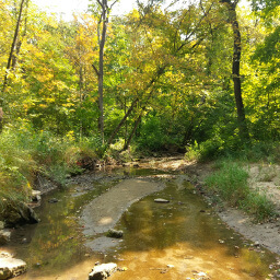 The muddy Prairie Creek in the big woods