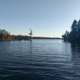 Friendly pines line the shores of Bear Head Lake