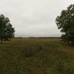 Trees breaking up the prairie landscape with a windmill and trough in the distance