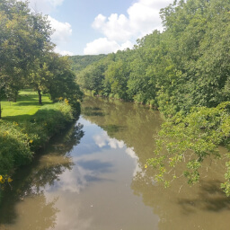 View of the South Branch Middle Fork Zumbro River from the 3rd Bridge