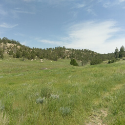 These pine tree covered bluffs are a welcome sight after driving across the prairie flatness of Nebraska