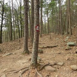 Red and white paint marks the East Summit Trail
