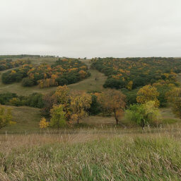 Beautiful fall colors filling the valley and covering the hills