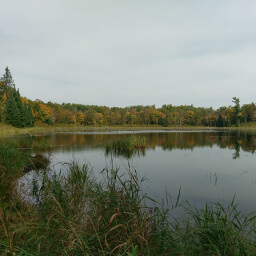 Fall colors look nice on this lake
