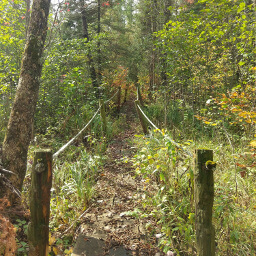 This boardwalk is a pleasant treat on this hike