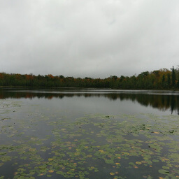 One of the Twin Lakes as viewed from the dock near the parking lot