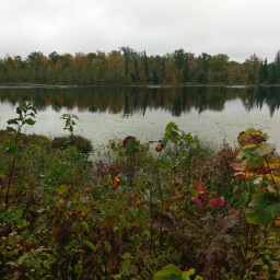 Beautiful fall colors on one of the Twin Lakes