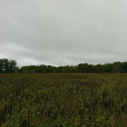 Prairie views on a cloudy afternoon