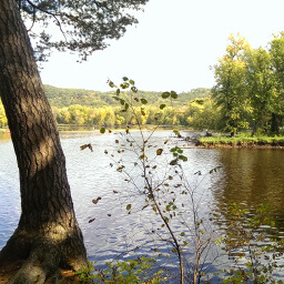 Looking at the tip of Greenberg Island across the St. Croix River