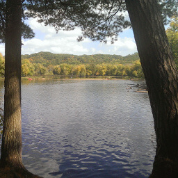 The view of the St. Croix River between the trees