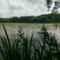 Pierce Lake as seen from the trail