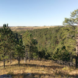 The view of Hell Canyon from the wooden platform