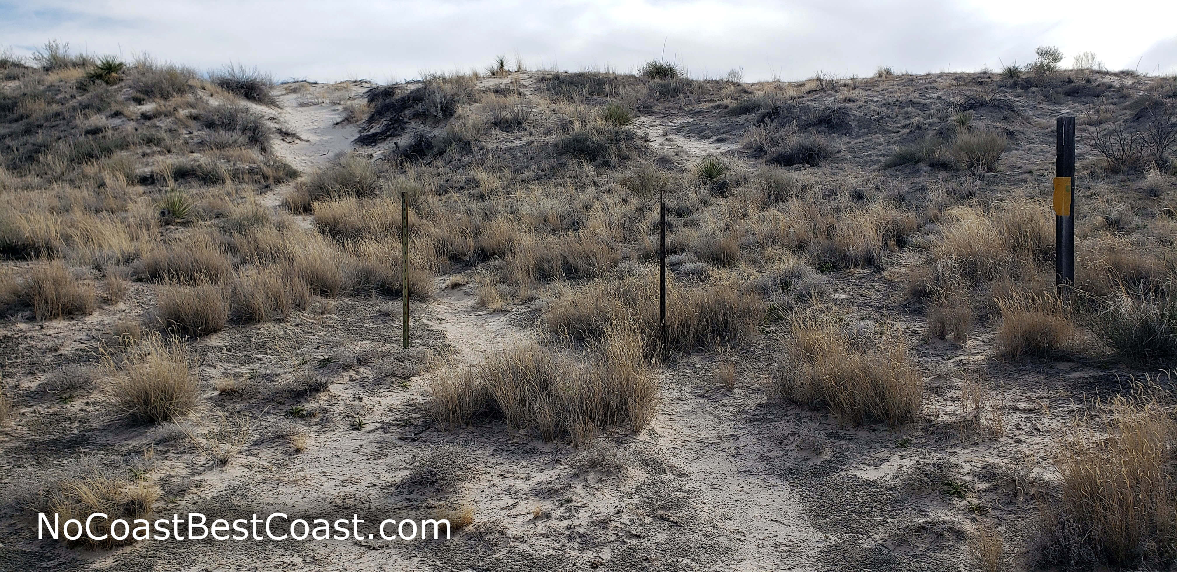 These poles indicate the route to the dunes