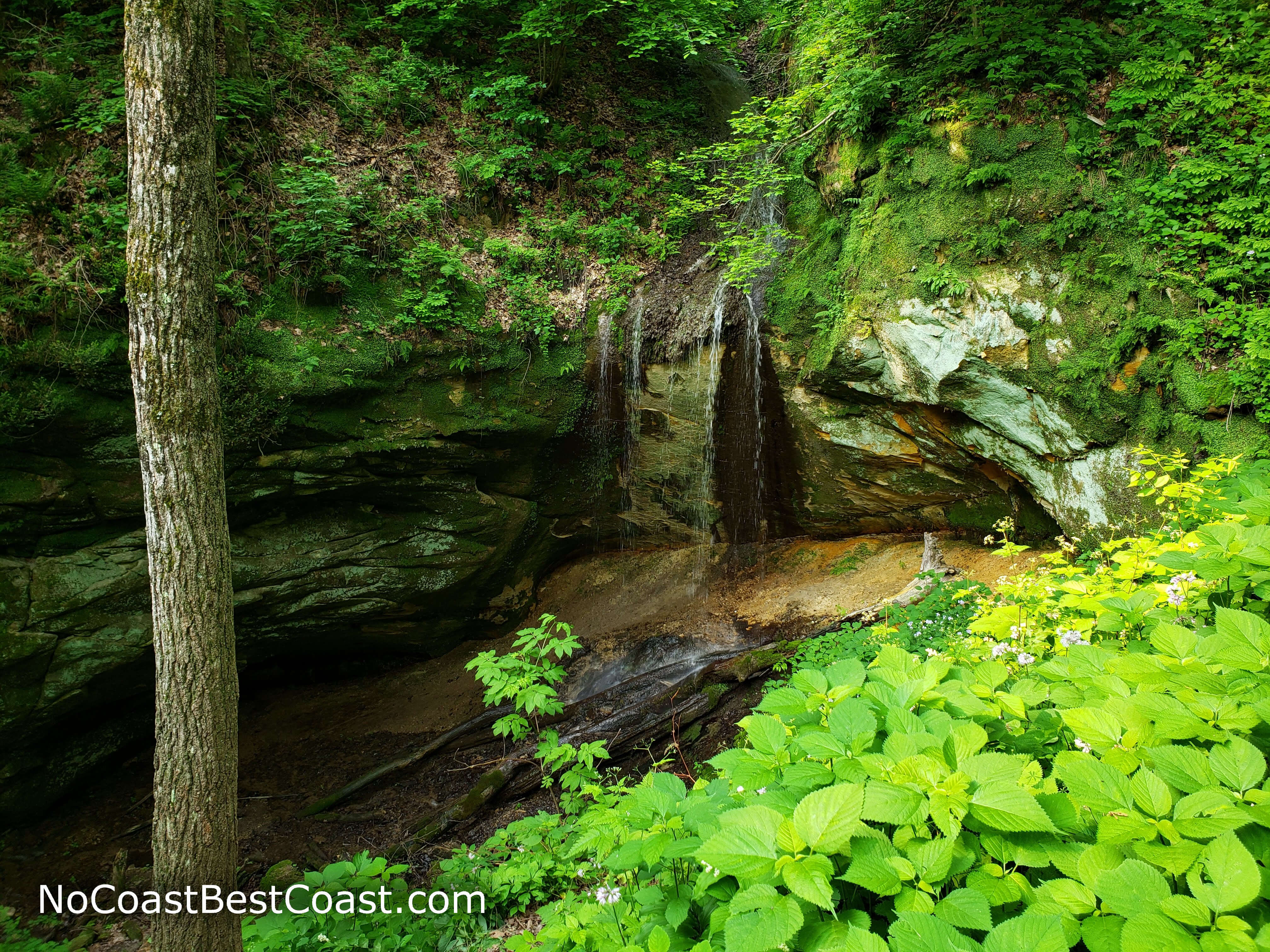 The mossy waterfall at Little Sand Cave