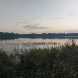 Looking across Shumway Lake from the marsh area