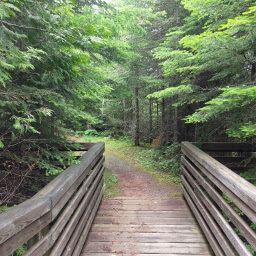 The bridge across the creek