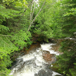 Looking at the creek from the bridge on Plantain Lane