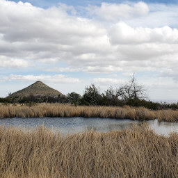 Manzanita Spring with Nipple Hill in the background