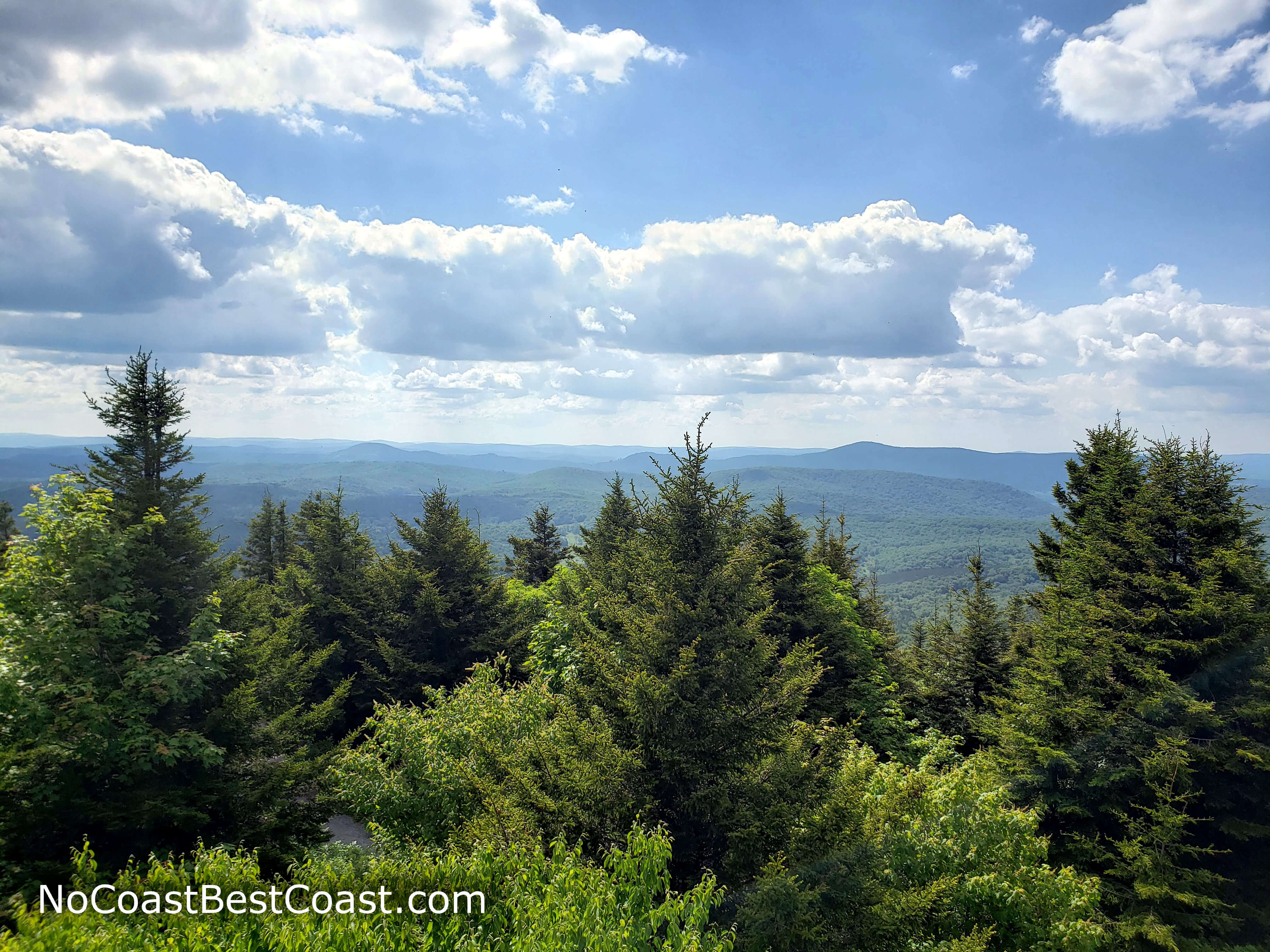 The view from atop the observation tower on Spruce Knob